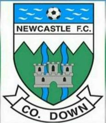 Newcastle Town Girls 2013 L